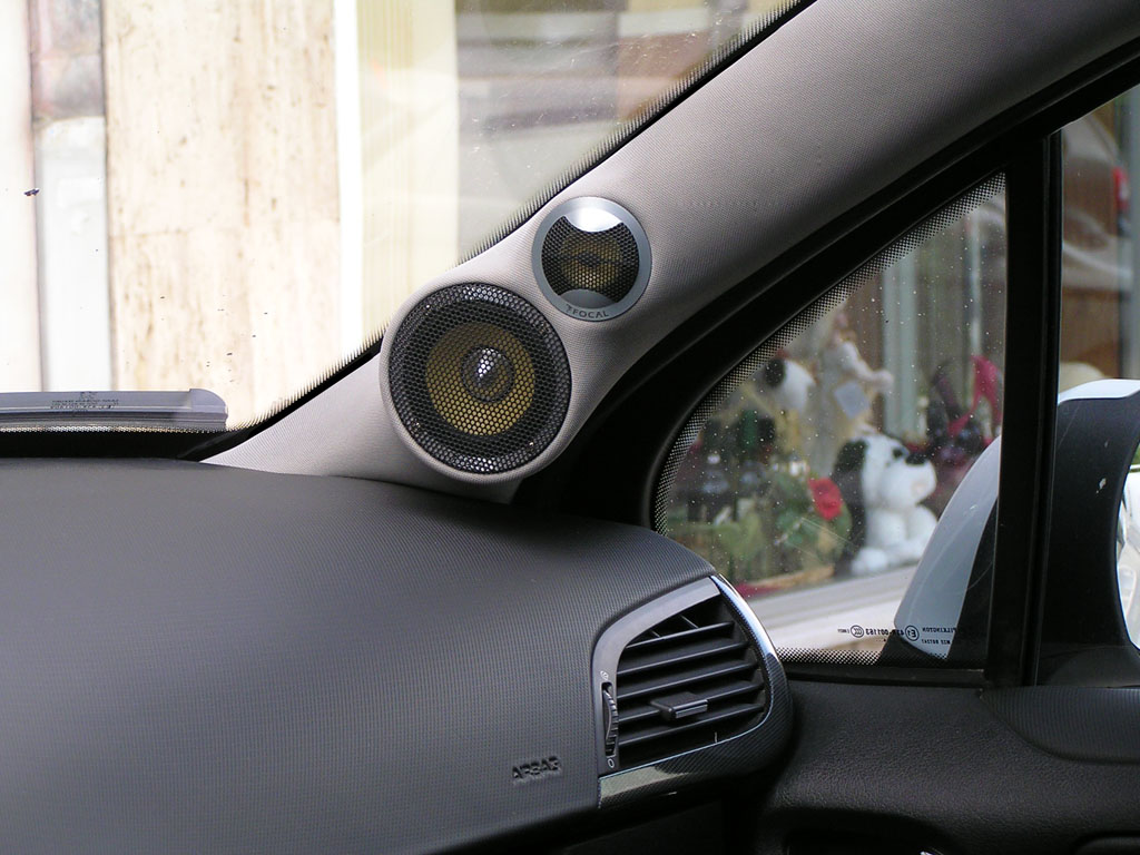 pioneer 8 inch limpets